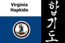 Hapkido classes in Virgina